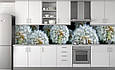 Кухонна скіналь зі скла / Фартух "Кульбаби" 3564, фото 2