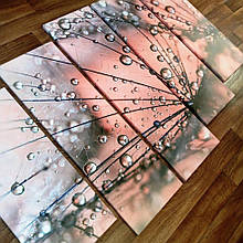 Постер / Модульна картина на полотні Кульбаба рожевий 5 частин