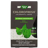 Nature's Way Chlorophyll Drops Mint 59 ml NWY-10008 VB