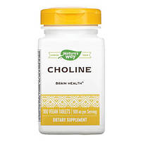 Nature's Way Choline 500 mg 100 таблеток 1870 VB