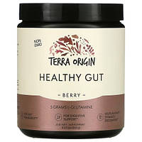 Terra Origin Healthy Gut Berry 243g, ягода TEO-00748 VB