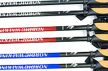 Палиці для скандинавської ходьби Nord Sticks 2 Blue ORIGINAL ПОЛЬША, фото 5