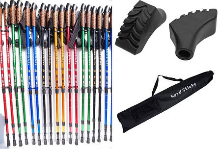 Комплект Палиці для скандинавської ходьби Nord Sticks + чохол + наконечники, фото 1