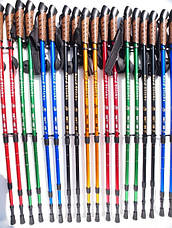 Комплект Палиці для скандинавської ходьби Nord Sticks + чохол + наконечники, фото 6