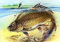 MilMaxFishing - інтернет-магазин