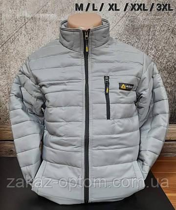 Куртка чоловіча норма сіра оптом (M-3XL) Туреччина-115988, фото 1