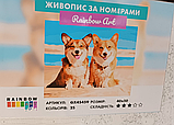 Картина за номерами Тварини Набір для розпису на полотні Двоє товаришів Живопис по номерам Собаки 40x50 Rainbow Art GX45459, фото 2