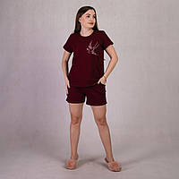 Жіноча літня піжама футболка з шортами "Ластівка-бордо" 46-58р.