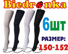 Демісезонні колготки дитячі для дівчаток Biedronka Україна 150-152 розмір дрібний горошок ЛДЗ-1189