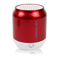 Портативная акустическая Bluetooth колонка Hopestar H8 красная Original (HBH8R)