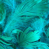 Пір'я для декору натуральні, темно-зелені (пляшковий колір), 12 грамів