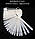 Палітра для лаку на кільці  молочна (Овал) 50 шт.уп., фото 2