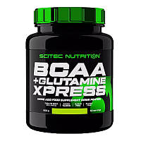 Аминокислоты Scitec Nutrition BCAA + Glutamine Xpress (600 г, жевательная резинка)