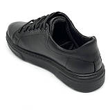 Жіночі шкіряні кеди чорного кольору на шнурівці Zlett 3520 чорна шкіра розмір 36, фото 5