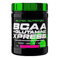 Аминокислоты Scitec Nutrition BCAA + Glutamine Xpress (300 г, лайм)