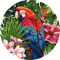 SO Картина по номерам "Яркий попугай" ©art_selena_ua KHO-R1004 диаметр 39 см Идейка