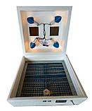 Інкубатор Квочка ІБ-72/120, автомат, цифровий, сітка під курку і перепілку, 4 лампи, фото 7