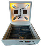 Інкубатор Квочка ІБ-72/120, автомат, цифровий, сітка під курку і перепілку, 4 лампи, фото 8