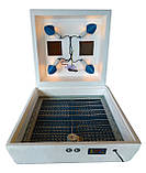 Інкубатор Квочка ІБ-72/120, автомат, цифровий, сітка під курку і перепілку, 4 лампи, фото 10