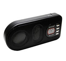 Колонка WS-3199