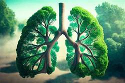 Чи може CBD полегшити симптоми бронхіальної астми?
