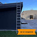 Драбина приставна 12 сходинок, драбина 3 метра, фото 3
