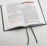 Мінія загальна додаткова, фото 3