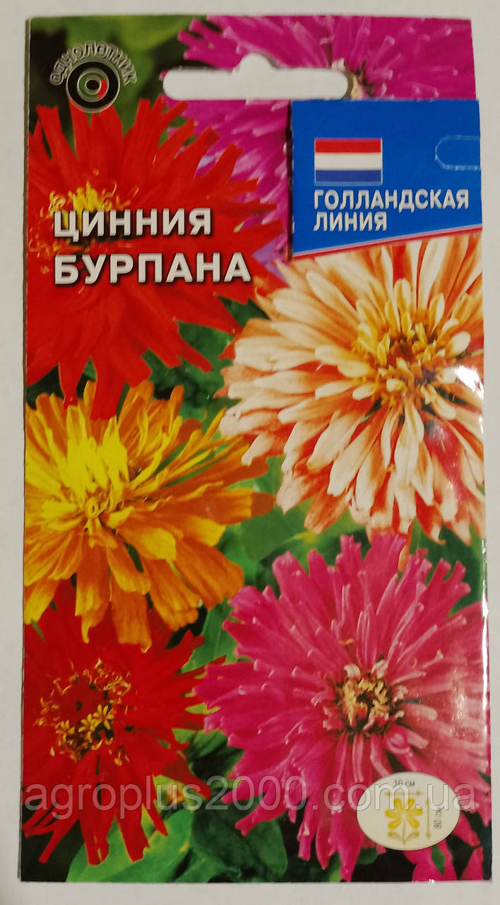 Насіння Цинія висока Хризантемоподібна Бурпана 0,5 грама