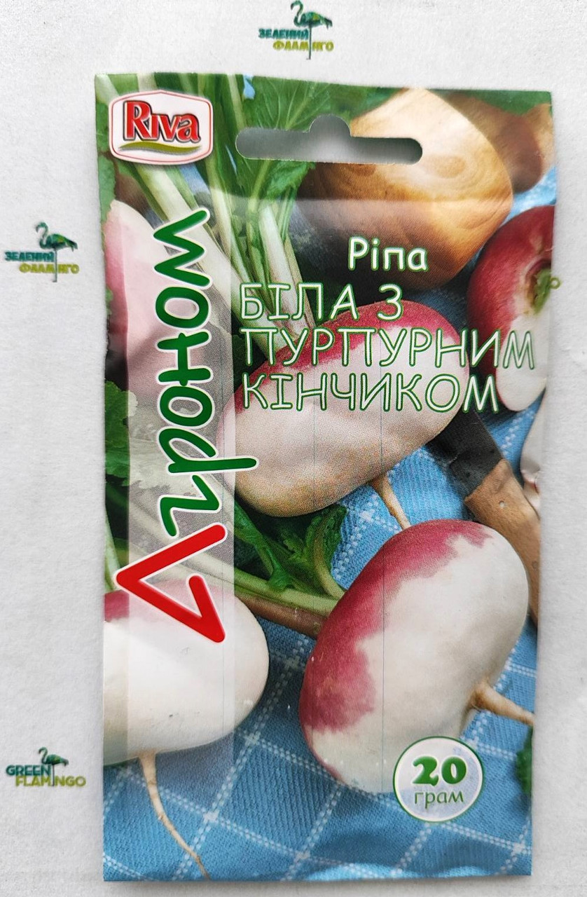 Насіння Ріпа БІЛА З ПУРПУРНИМ КІНЧИКОМ, 20 г