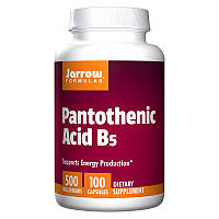 Пантотенова кислота Jarrow Formulas Pantothenic Acid B5 500 mg 100 caps