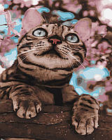 Картина Рисование по номерам животные 40х50 Картины по цифрам Пушистый озорник Роспись по номерам кот Rainbow