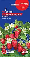 Земляніка Руяна високоурожайний ремонтантний сорт садової суниці, паковання 0,1 г