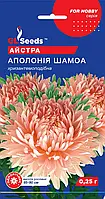 Астра хризантемоподібна Аполлонія Шамоа розкішна зрізний сорт із великими суцвіттями, паковання 0,25 г