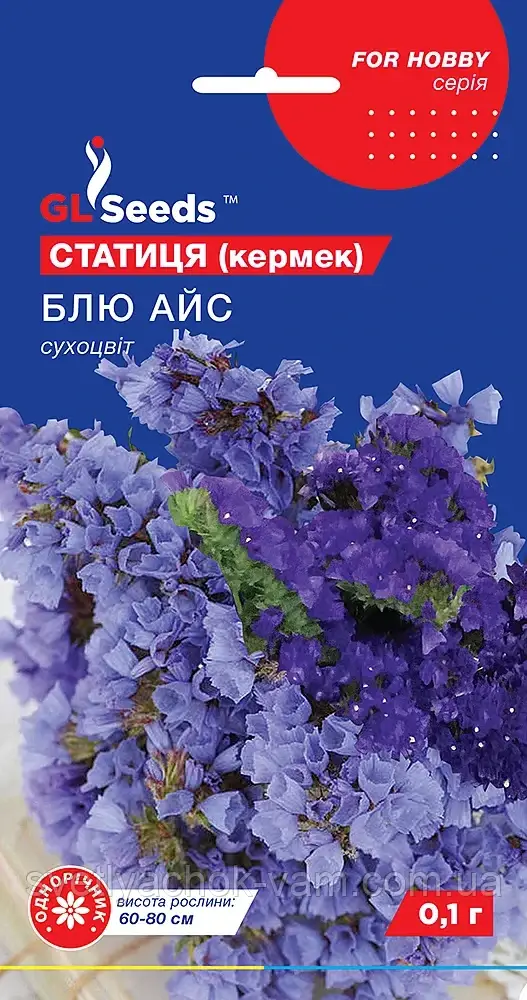 Статиця Блю Айс одна з найпопулярніших рослин для аранжування вбукету коштує понад рік, паковання 0,1 г