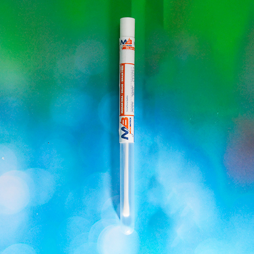 Аплікатор в транспортній пробірці з намотуванням з віскози для ДНК, пластиковий стрижень, Стерильний