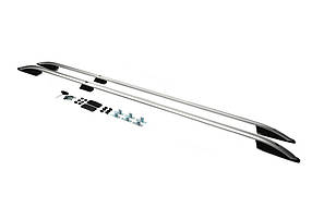 Рейлінги Skyport Grey (2 шт) для Mitsubishi L300