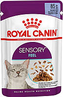 Royal Canin Sensory Feel Morsels в желе, 12 шт