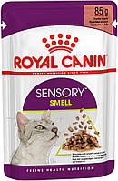 Royal Canin Sensory Smell Chunks в соусе, 12 шт