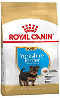 Royal Canin Yorkshire Terrier Puppy, 1,2+300 гр