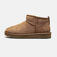 Женские угги UGG Classic Mini II Boots Chestnu