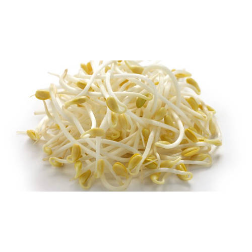 Соевые бобовые ростки 500гр (ID#2108145348), цена: 145 ₴, купить на Prom.ua