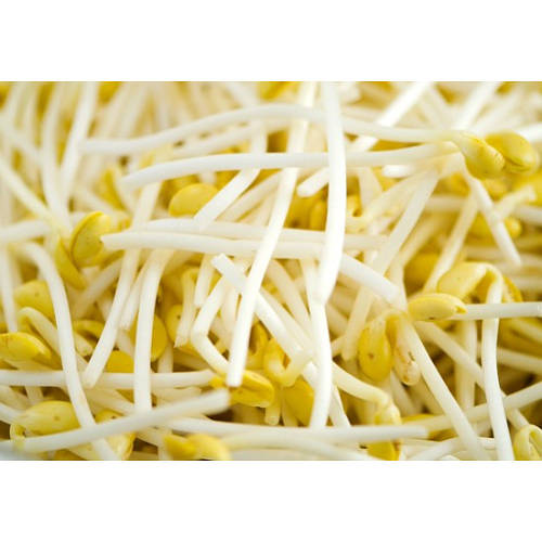 Соевые бобовые ростки 500гр (ID#2108145348), цена: 145 ₴, купить на Prom.ua