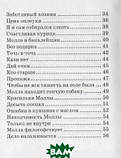 Книга Притчі Молла Насреддина  . Автор Мамедов Ю. (сост.) (Рус.) (обкладинка тверда) 2018 р., фото 4