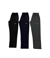 Мужские спортивные штаны Puma, весна осень, размер от 46 до 54