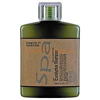 Шампунь з олією евкрапліту для жирного волосся Dancoly Eucalyptus Shampoo Oily Hair
