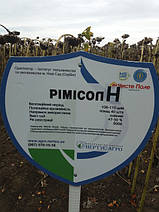 Демо Поля гібридів вирощених на Українських чорноземах.