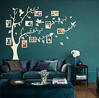 Сімейне дерево📷 птахи 2, родинне дерево на стіну з фото рамками  birds