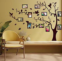 Сімейне дерево 💖 птахи 3, родинне дерево на стіну з фото рамками  birds