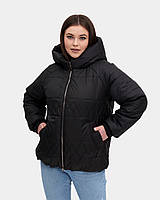Стильна жіноча куртка Li-74 чорний, розміри 48-60