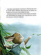 Книга Прекрасні бабусині казочки з садочка - Карі-Марі Амйо (9786171703391), фото 7